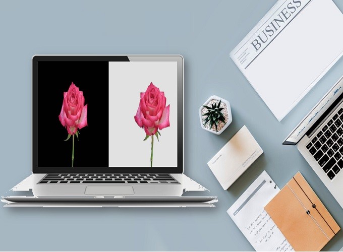 Change photo background to white