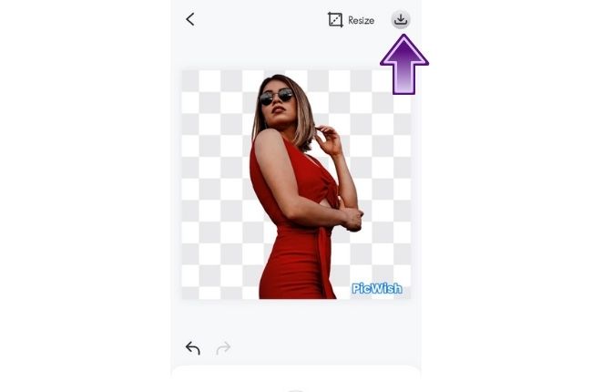 picwish transparent result